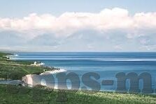 310足球直播比分-310足球直播比分，足球迷的实时赛场指南