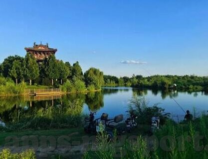 足球限时比分-足球限时比分，绿茵场上的心跳加速器